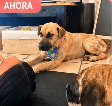 Foto de Victoria